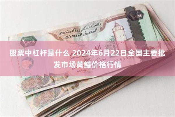 股票中杠杆是什么 2024年6月22日全国主要批发市场黄鳝价格行情