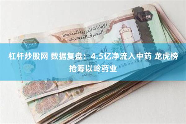 杠杆炒股网 数据复盘：4.5亿净流入中药 龙虎榜抢筹以岭药业