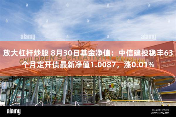 放大杠杆炒股 8月30日基金净值：中信建投稳丰63个月定开债最新净值1.0087，涨0.01%